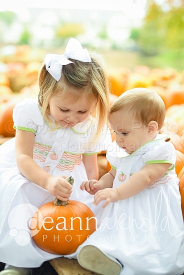 Wood Pumpkin Patch