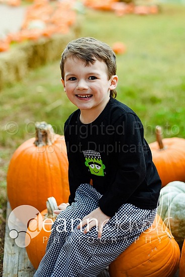 Heron Pumpkin Patch