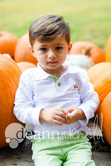 Smith Pumpkin Patch
