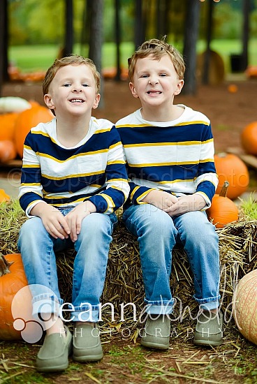 Haur Pumpkin Patch