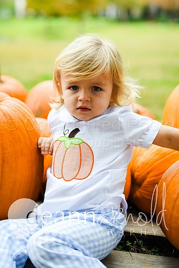 Price Pumpkin Patch